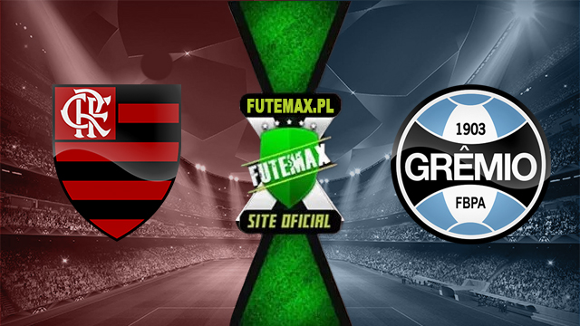 Assistir Flamengo x Grêmio ao vivo online HD 13/06/2024