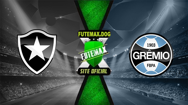 Assistir Botafogo x Grêmio ao vivo online HD Grátis 28/09/2024