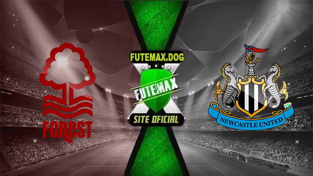 Assistir Nottingham Forest x Newcastle AO VIVO Online 10/11/2024